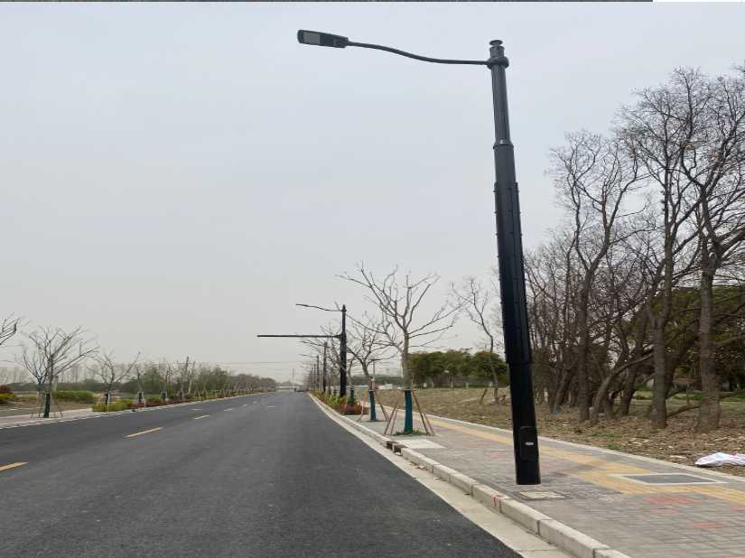 肃州区上海综合杆 太阳能路灯工程